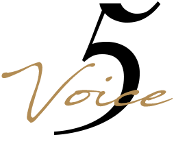 Voice 5