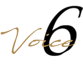 Voice 6